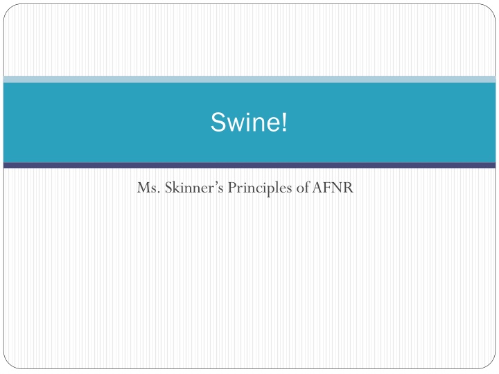 Swine Farming Basics and Uses of Different Pig Breeds