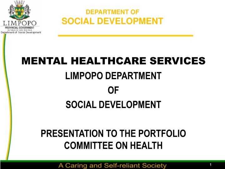 Department of Social Development Mental Healthcare Services Presentation