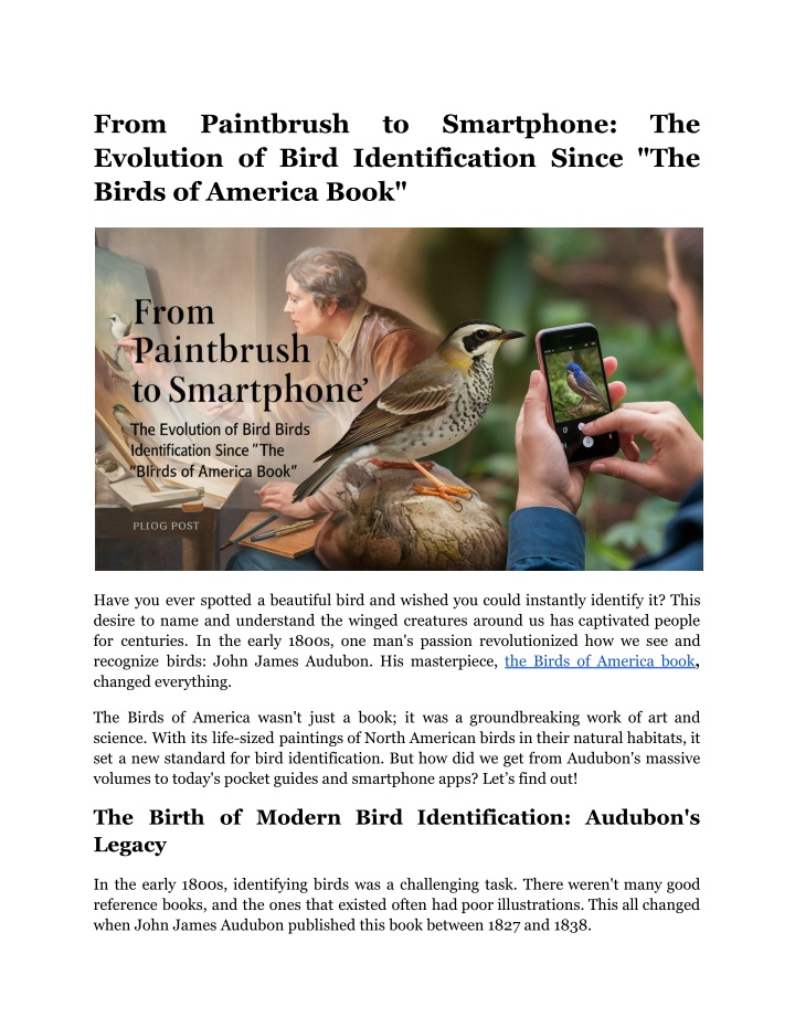 from evolution of bird identification since n.w