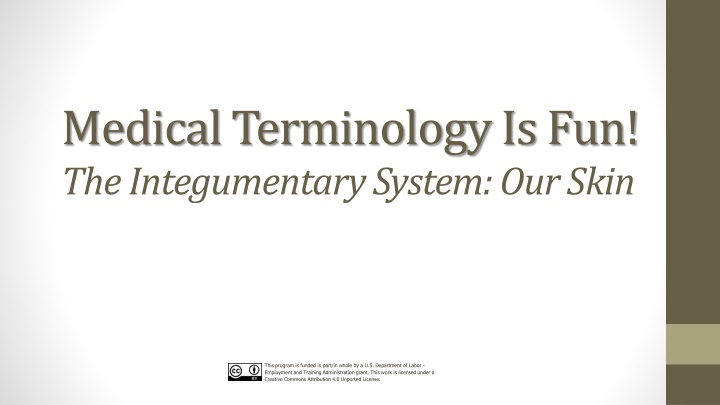 Discovering the Fascinating World of Skin Anatomy and Terminology