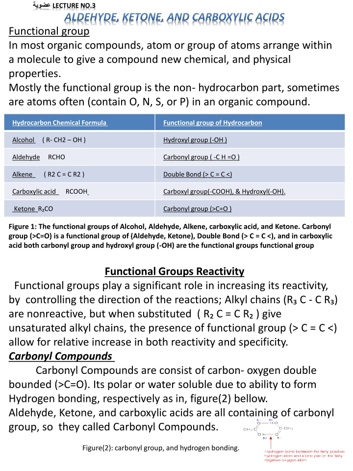 Aldehydes, Ketones, and Carboxylic Acids in Organic Chemistry