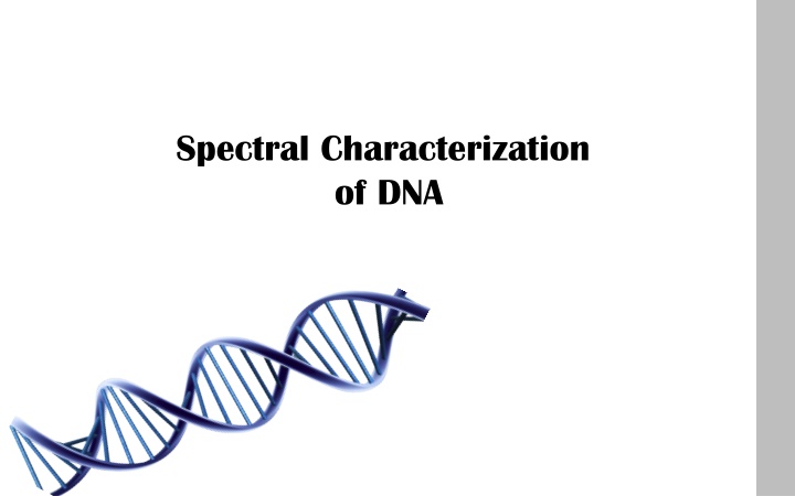 The Intriguing Structure and Functions of DNA