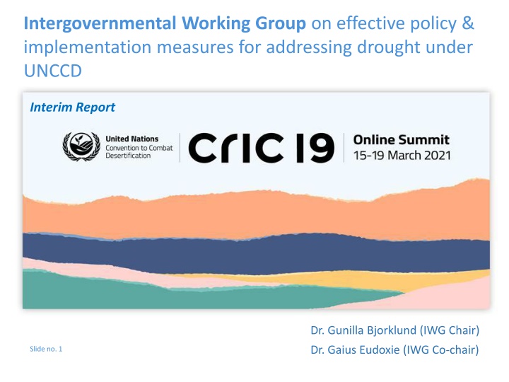 The Intergovernmental Working Group on Drought Policy Implementation