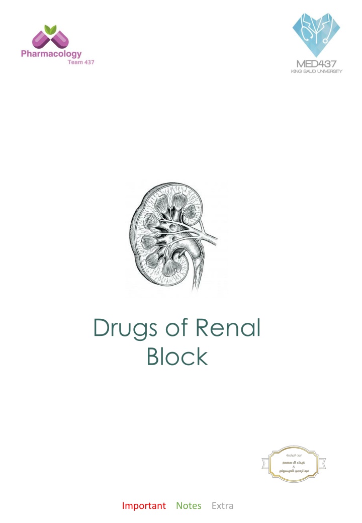 Renal Block: Drugs, Excretion, and Treatment Essentials