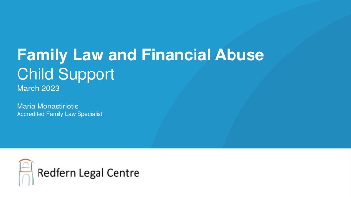 Financial Abuse in Family Law: Child Support and Legal Remedies