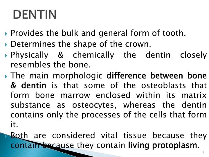 The Composition and Structure of Dentin