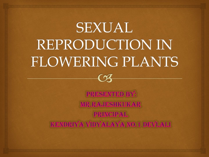 Sexual Reproduction in Flowering Plants