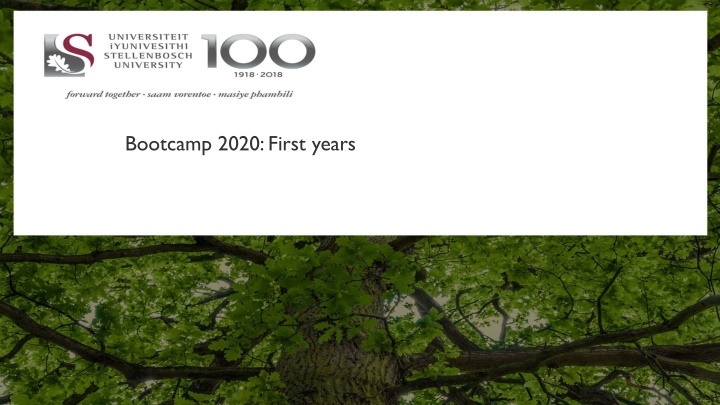 Efficiently Navigating SU Online Services: Bootcamp 2020 Guidelines