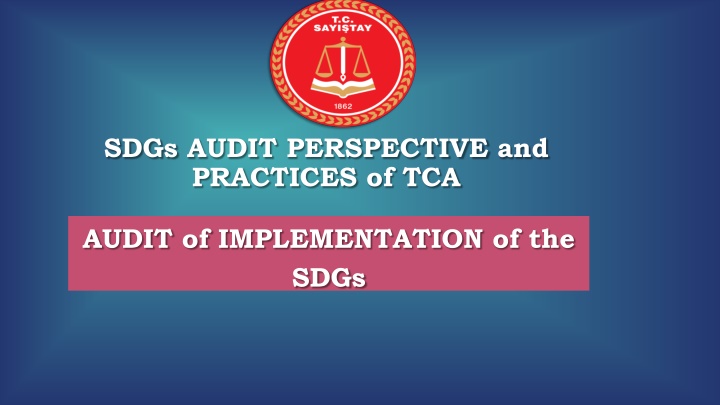 Audit Practices for SDGs Implementation Evaluation in Turkey