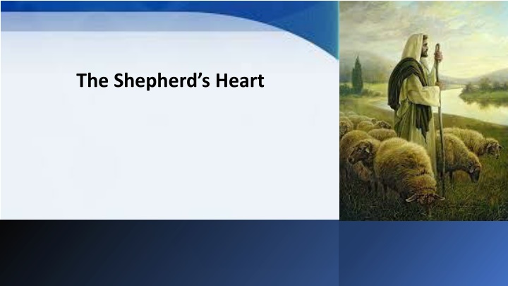 The Role of a Shepherd in Ministry