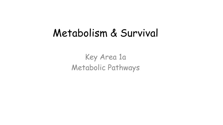 Metabolic Pathways in Organisms