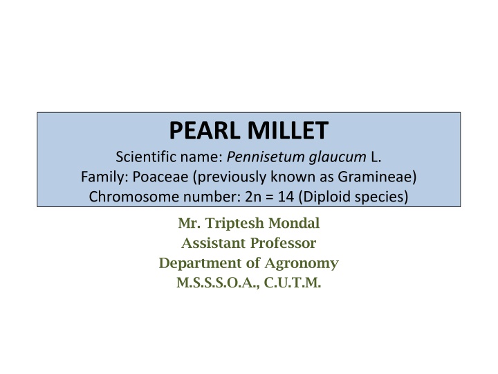 Pearl Millet - Overview, Economic Importance, and Cultivation
