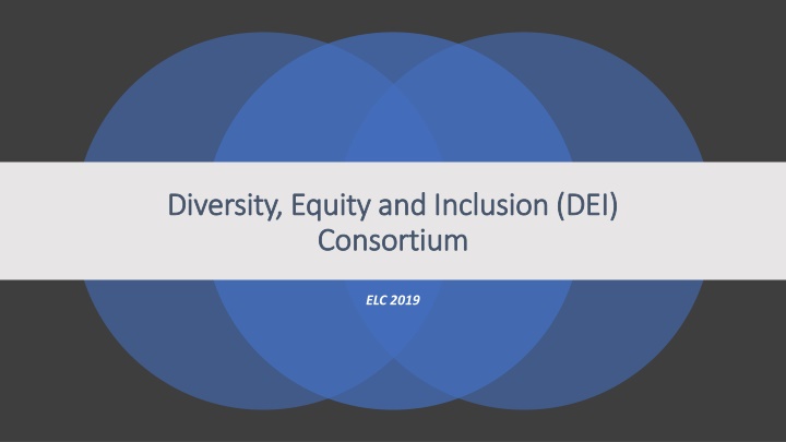 Promoting Diversity, Equity, and Inclusion in Physical Therapy Education
