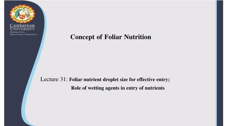 Foliar Nutrition: Droplet Size and Wetting Agents