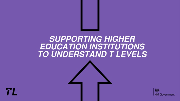 T Levels in Higher Education