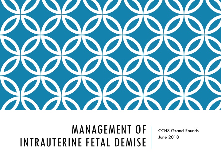 Management of Intrauterine Fetal Demise: Case Study and Clinical Course