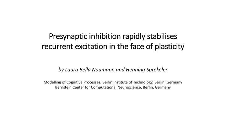 Role of Presynaptic Inhibition in Stabilizing Neural Networks