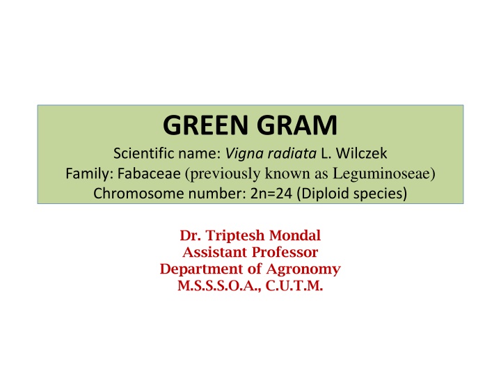 Overview of Green Gram (Vigna radiata L.): Economic Importance, Origin, and Classification