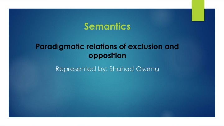 Semantics and Paradigmatic Relations of Exclusion and Opposition