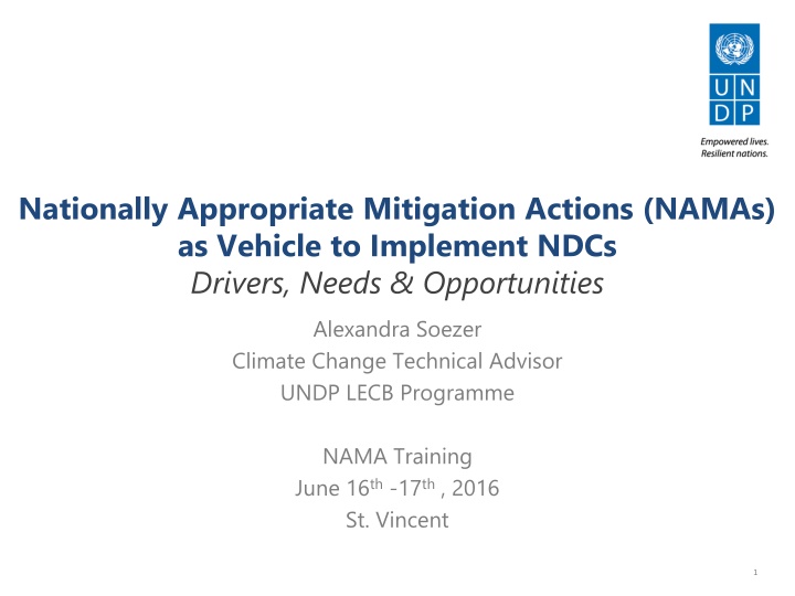 Implementing NDCs Through NAMAs: Drivers, Needs & Opportunities
