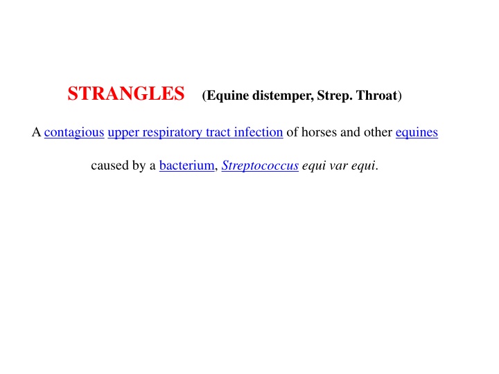 Strangles in Horses: Causes, Symptoms, and Treatment