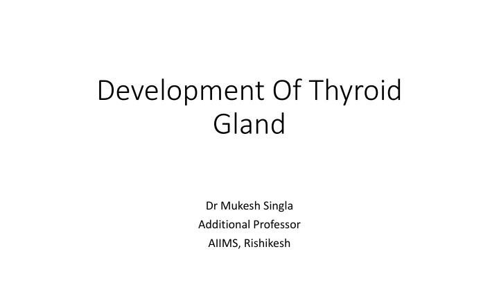 Development of Thyroid Gland in Embryonic Stage