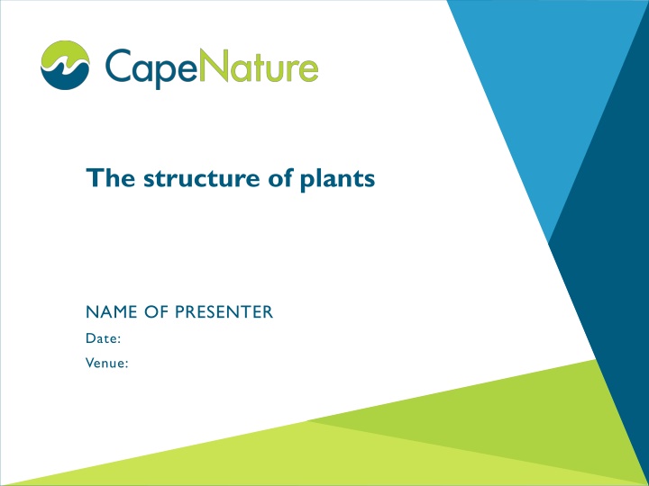Fascinating World of Plant Structures