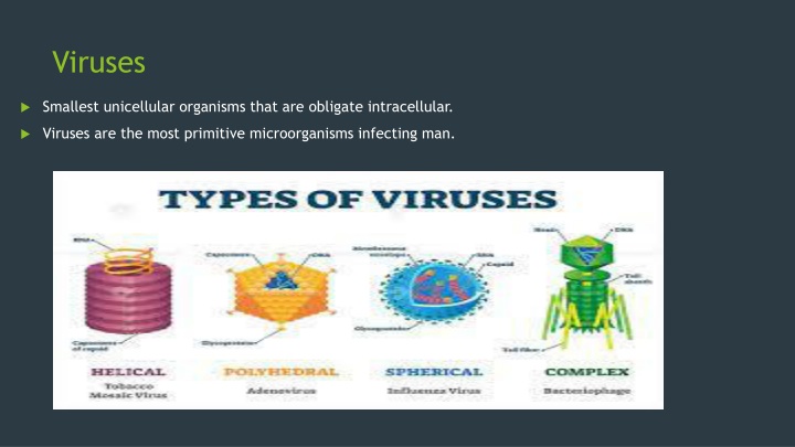 Viruses: Basics and Morphology
