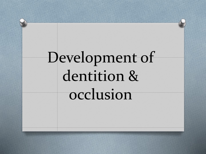 The Development of Dentition and Occlusion