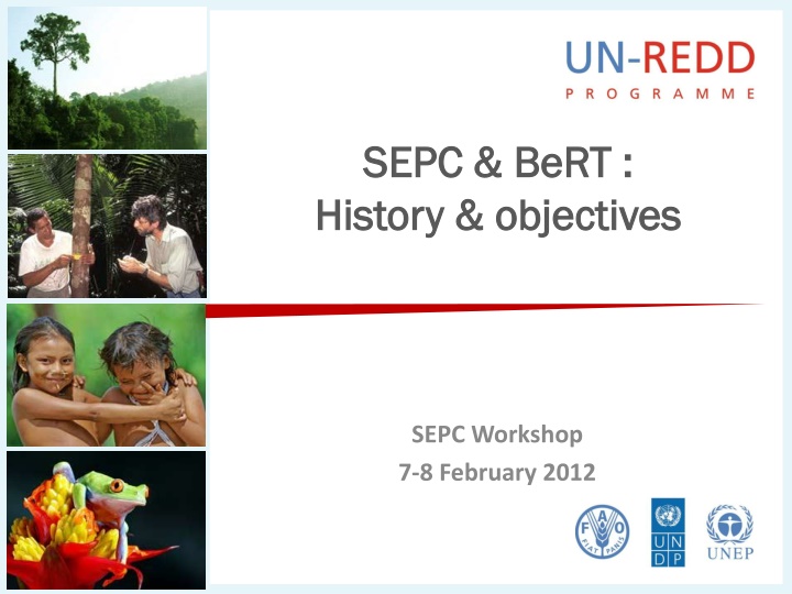 UN-REDD Programme Progress Summary 2010-2011