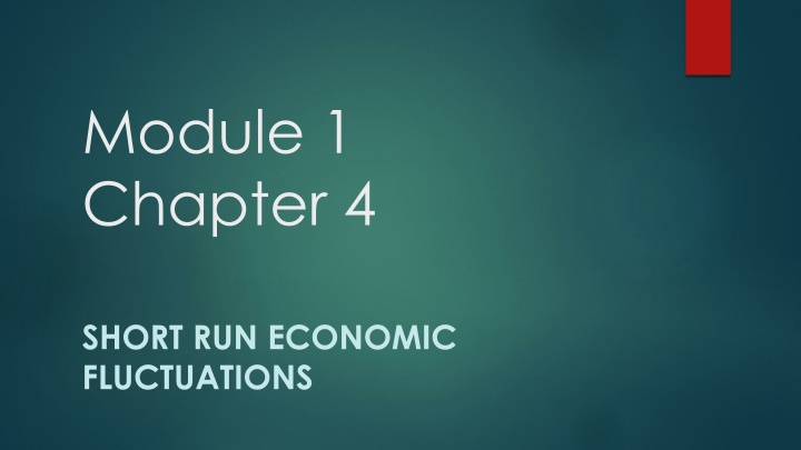 Trade Cycles: Economic Fluctuations and Phases