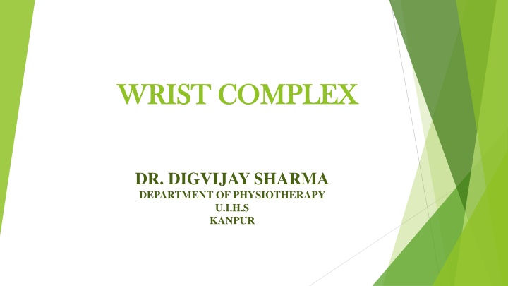 The Anatomy of the Wrist Complex