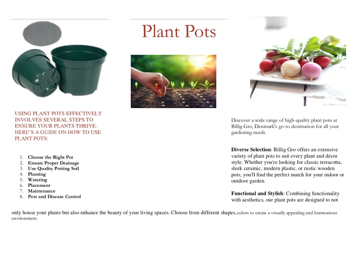 discover a wide range of high quality plant pots n.w