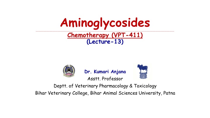 Aminoglycosides in Veterinary Pharmacology