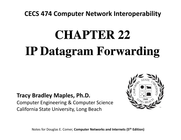 IP Datagrams in Computer Networks