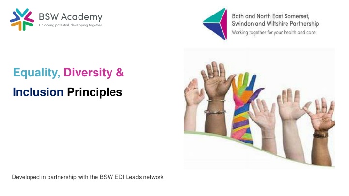 Principles of Equality, Diversity, and Inclusion Partnership