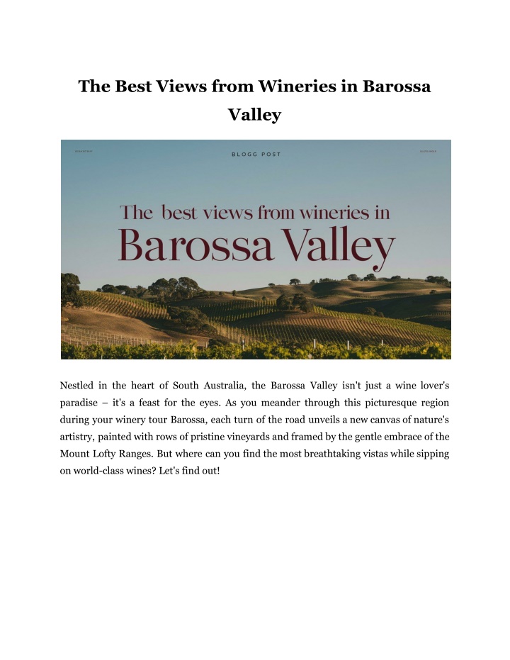 the best views from wineries in barossa n.w