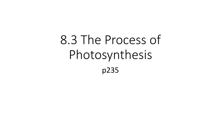 Photosynthesis and Its Processes