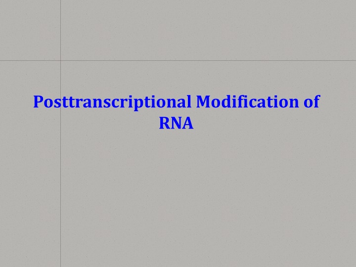 Posttranscriptional Modification of RNA Overview