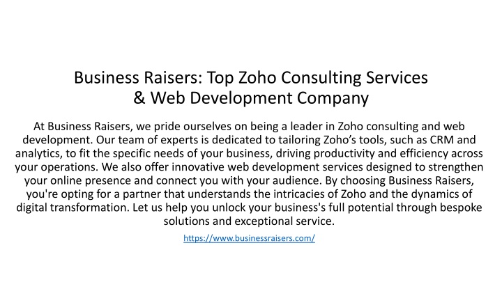 Business Raisers' Zoho Consulting Services