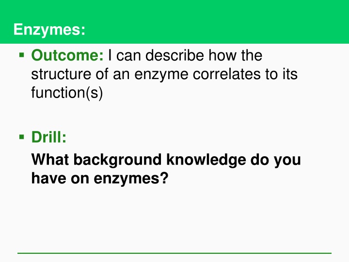 Enzyme Structure and Function