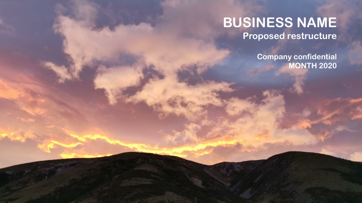 Business Restructure Proposal Summary
