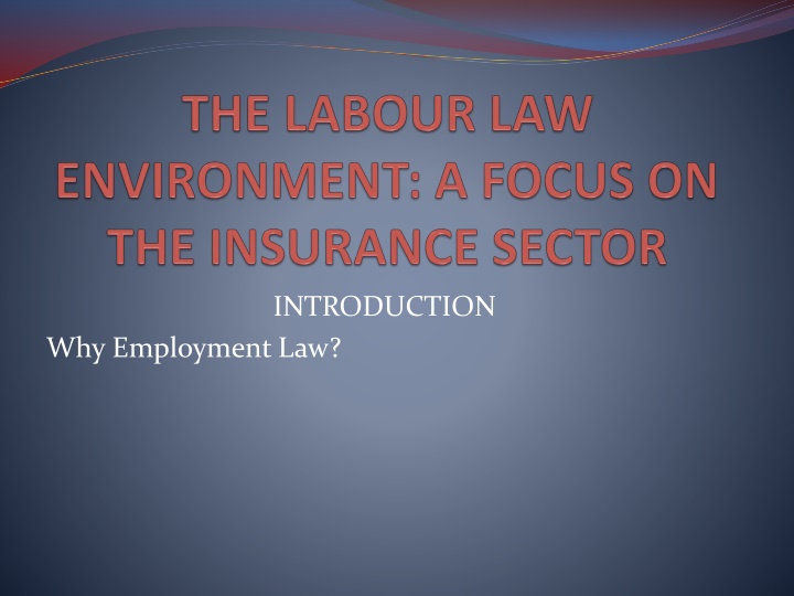 The Dynamics of Employment vs. Entrepreneurship in Business