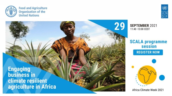 Private Sector Engagement in Climate Solutions for Agriculture Sector