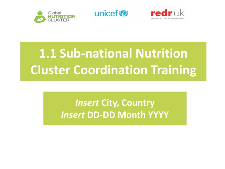 Sub-national Nutrition Cluster Coordination Training Workshop