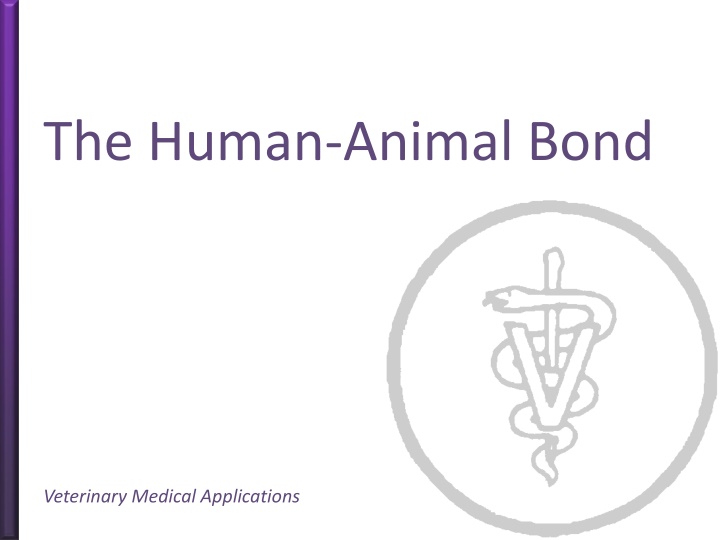 The Human-Animal Bond in Veterinary Medicine