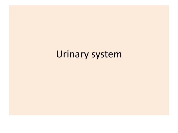 Urinary System: Kidneys, Functions, and Structure