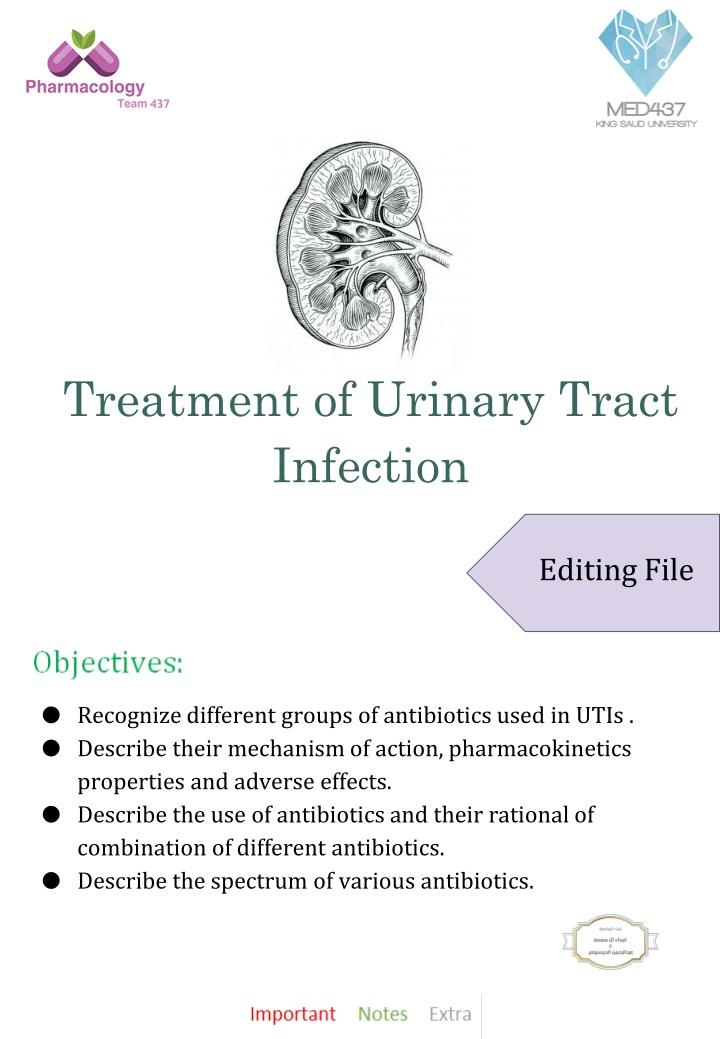 Antibiotics for Urinary Tract Infections: Mechanism, Pharmacokinetics, and Use