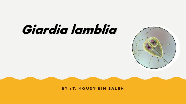 Overview of Giardia lamblia Parasite and Giardiasis Disease