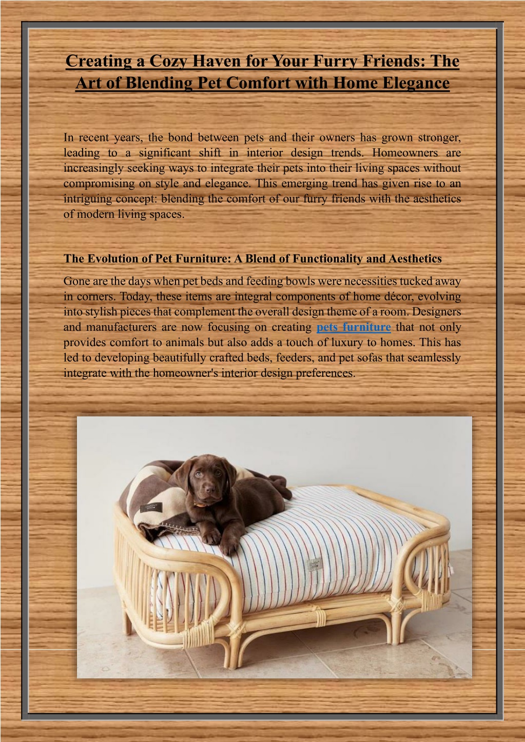 creating a cozy haven for your furry friends l.w